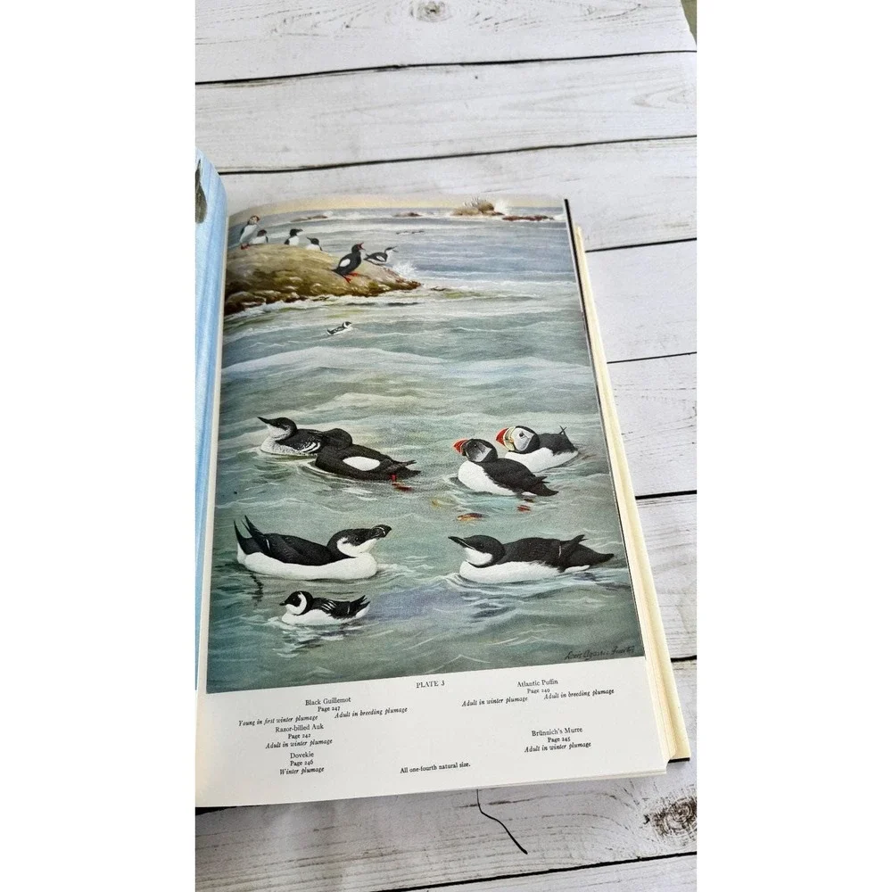 American Birds Forbush & May Bramhall House Illustrated Natural History